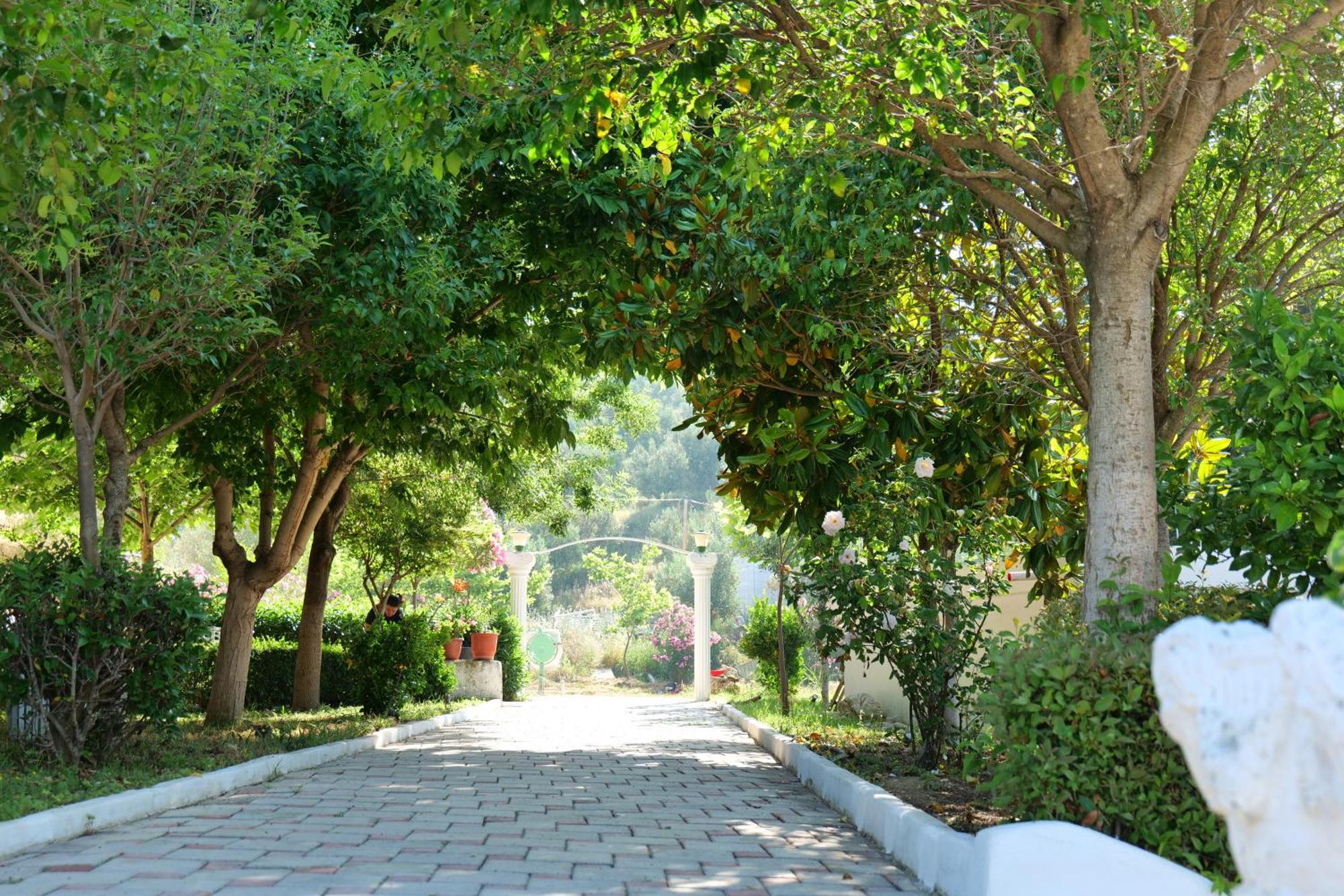 Edva Resort Радима Экстерьер фото